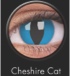 4-AR CHESHIRE CAT